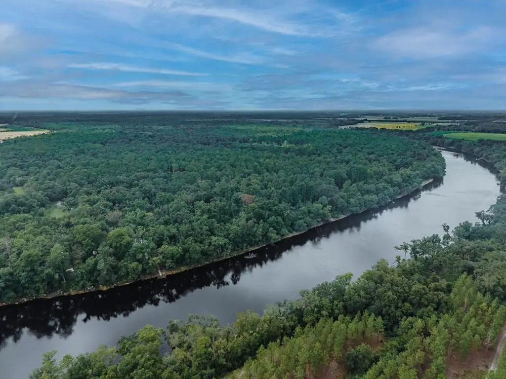 204th Pl, Suwannee, FL 32071 - #1