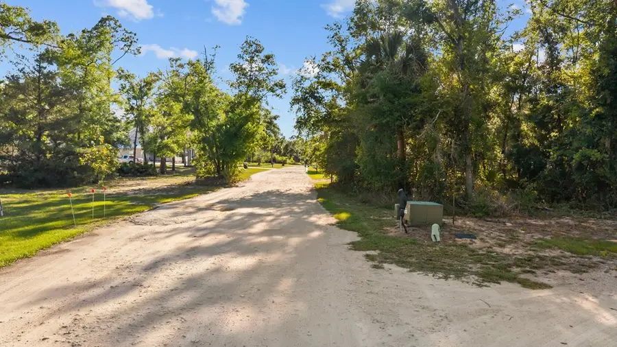 1623 NE Wildwood Dr, Steinhatchee, FL 32359 - #3