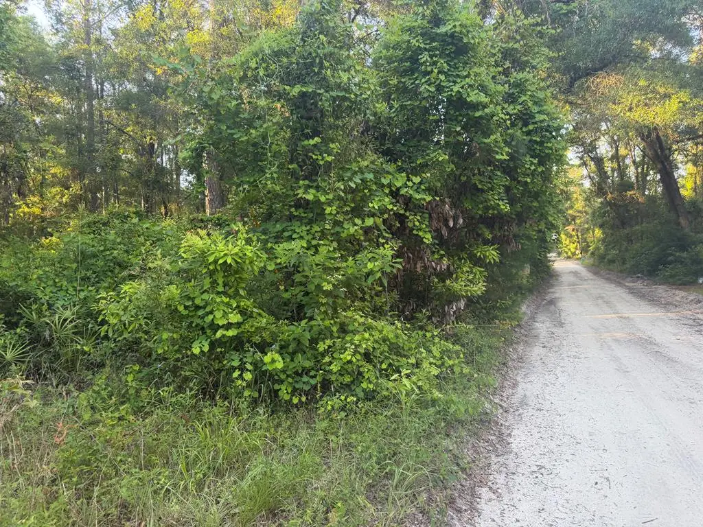 00 SW 82nd Ct, Fanning Springs, FL 32693 - #1