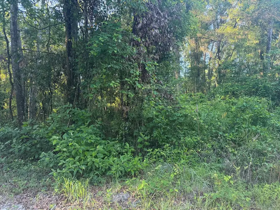 00 SW 82nd Ct, Fanning Springs, FL 32693 - #2
