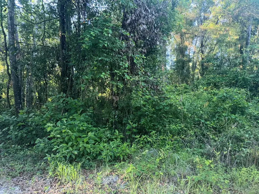 00 SW 82nd Ct, Fanning Springs, FL 32693 - #3
