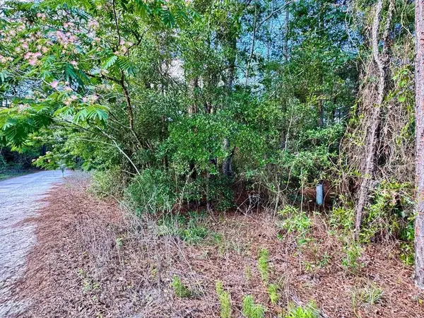NE 94th Ave, Bronson, FL 32621