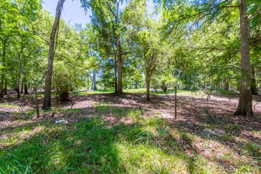 00 SW 17th St, Bell, FL 32619 - #2