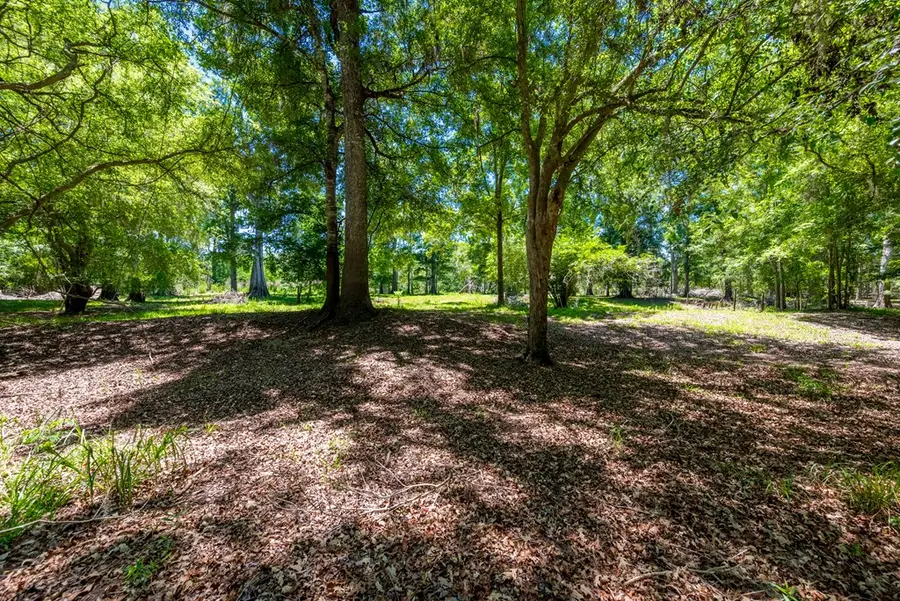 00 SW 17th St, Bell, FL 32619 - #3