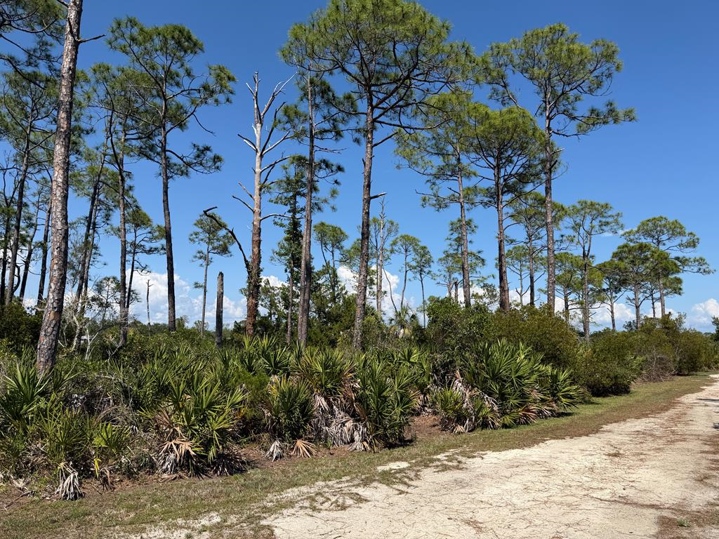 Museum Dr, Cedar Key, FL 32625 - #1