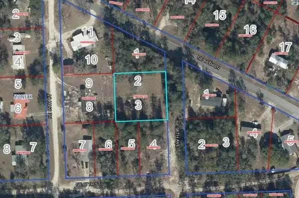 Lot 2&3 NE 95th Ave, Bronson, FL 32621