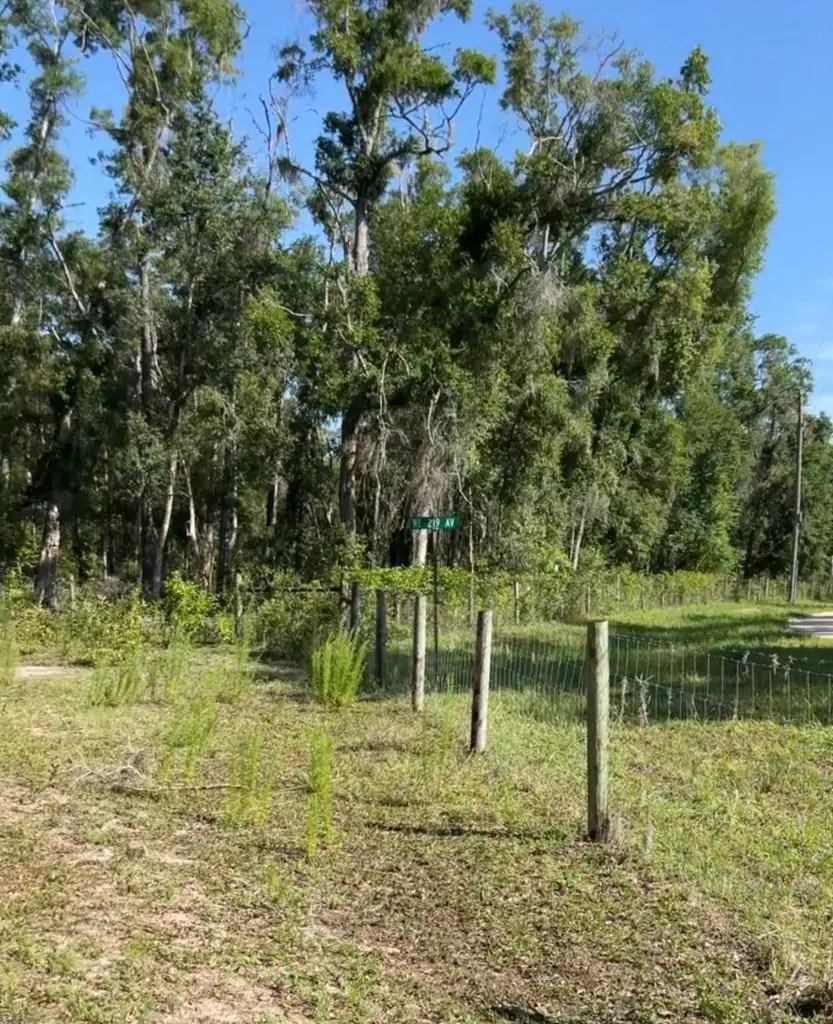 NE 489th St, Old Town, FL 32680 - #1