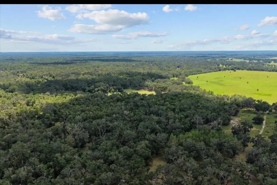 NE 489th St, Old Town, FL 32680 - #3