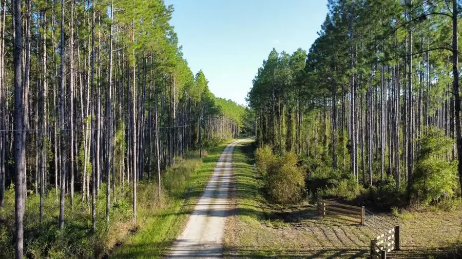 0000 NE Waters Pond Rd, Chiefland, FL 32626 - #3