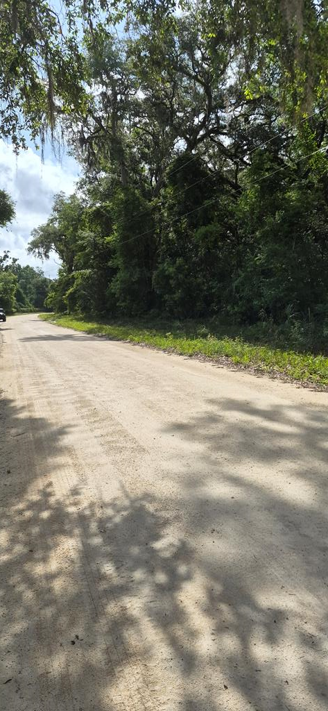 278th Ave, Old Town, FL 32680 - #1