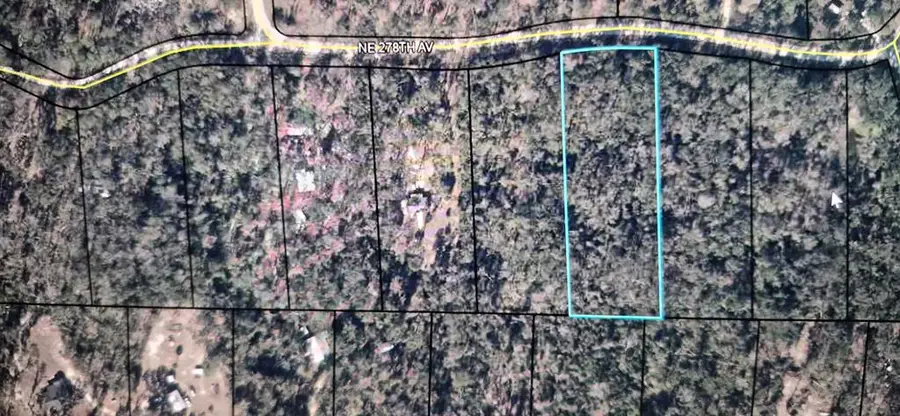 278th Ave, Old Town, FL 32680 - #3