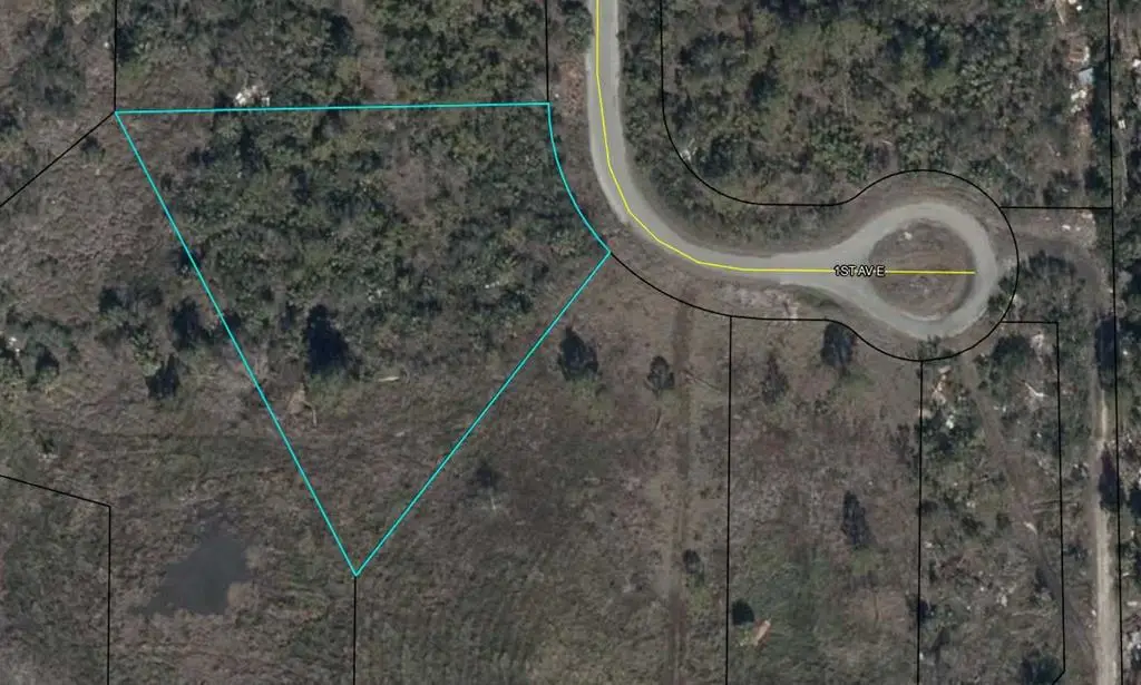 Lot 7 E 1st Ave, Horseshoe Beach, FL 32648 - #1