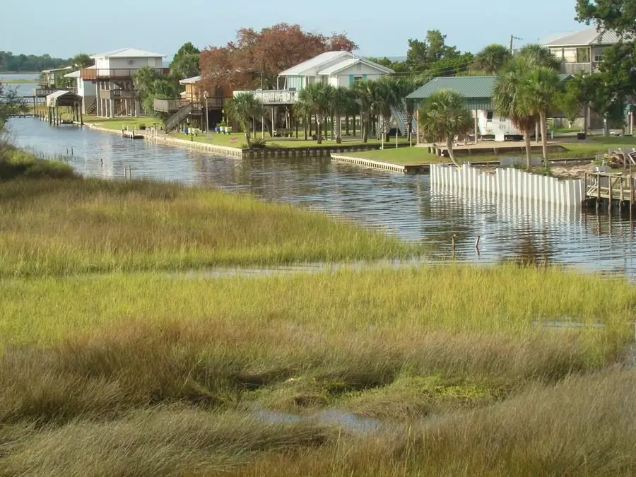 Lot 7 E 1st Ave, Horseshoe Beach, FL 32648 - #3