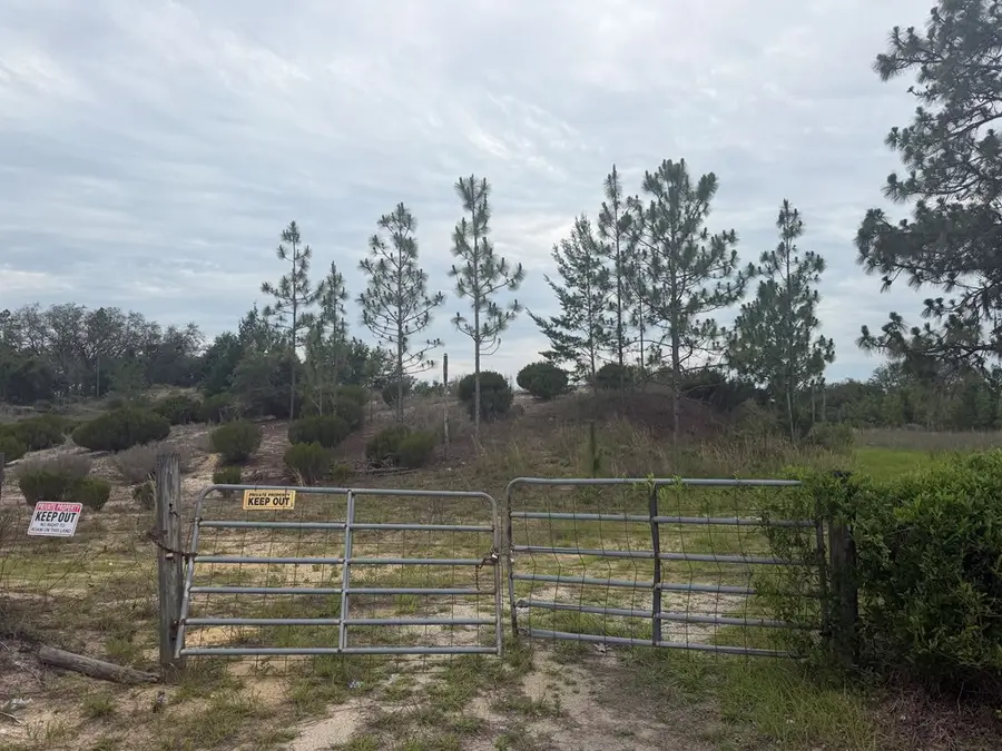 13290 NE 75th St, Bronson, FL 32621 - #2