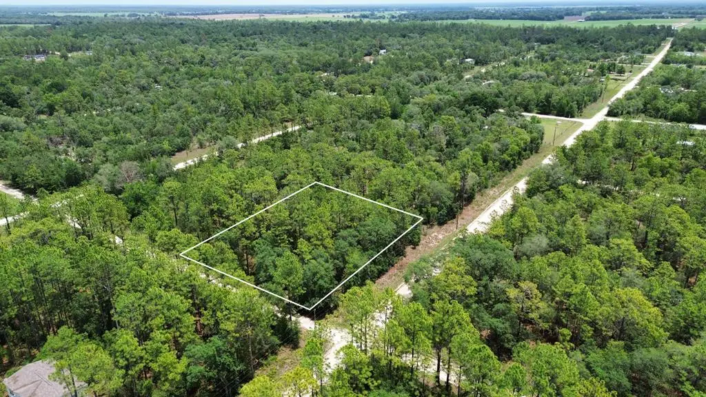 NE 123rd Ave, Williston, FL 32696 - #1