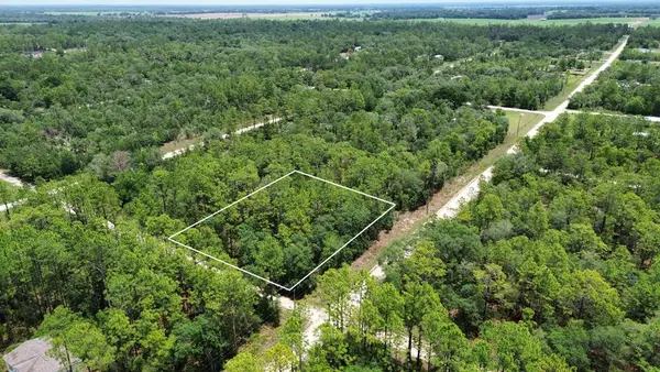 NE 123rd Ave, Williston, FL 32696