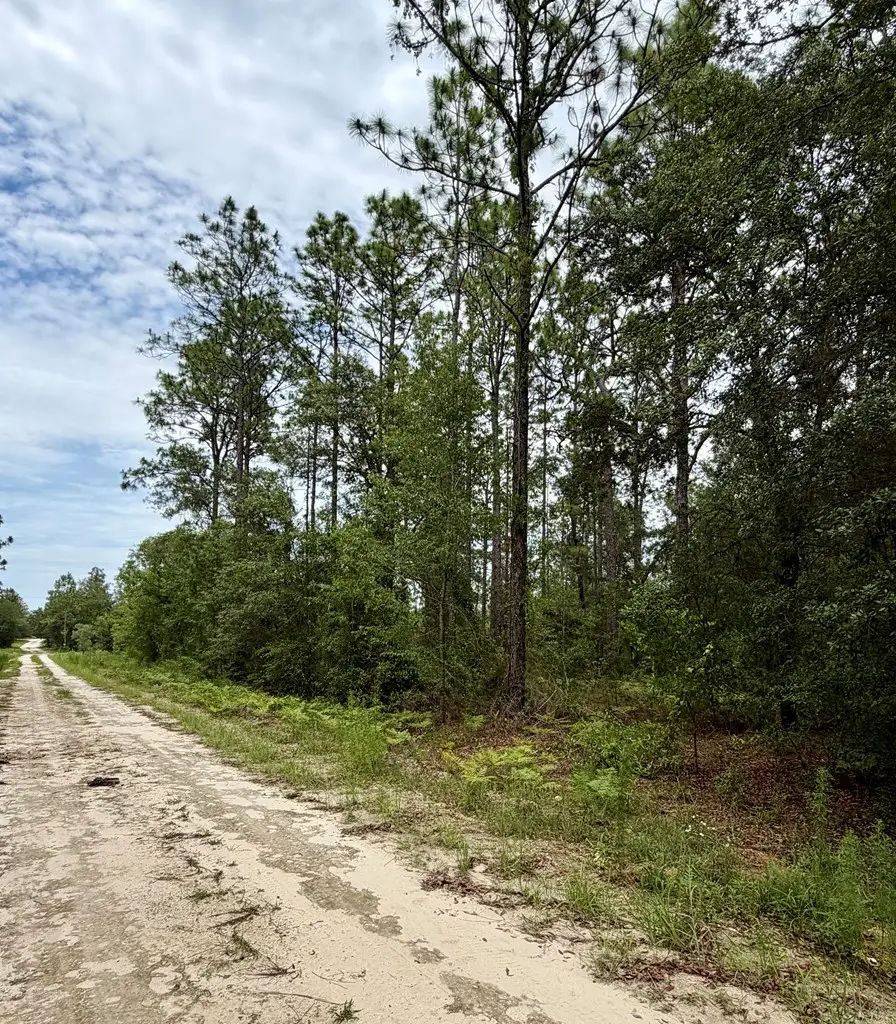 NE 123rd Ave, Williston, FL 32696 - #3