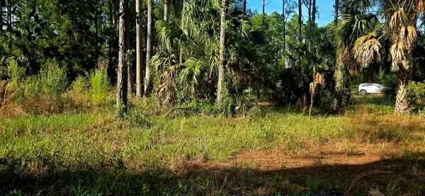 State Rd 349, Suwannee, FL 32692