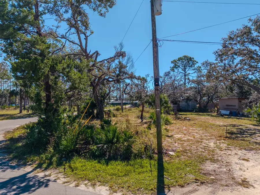116 NE First Ave, Steinhatchee, FL 32359 - #3