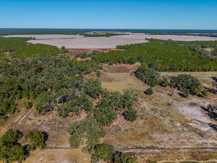 1325 NE 399th St, Old Town, FL 32680 - #3