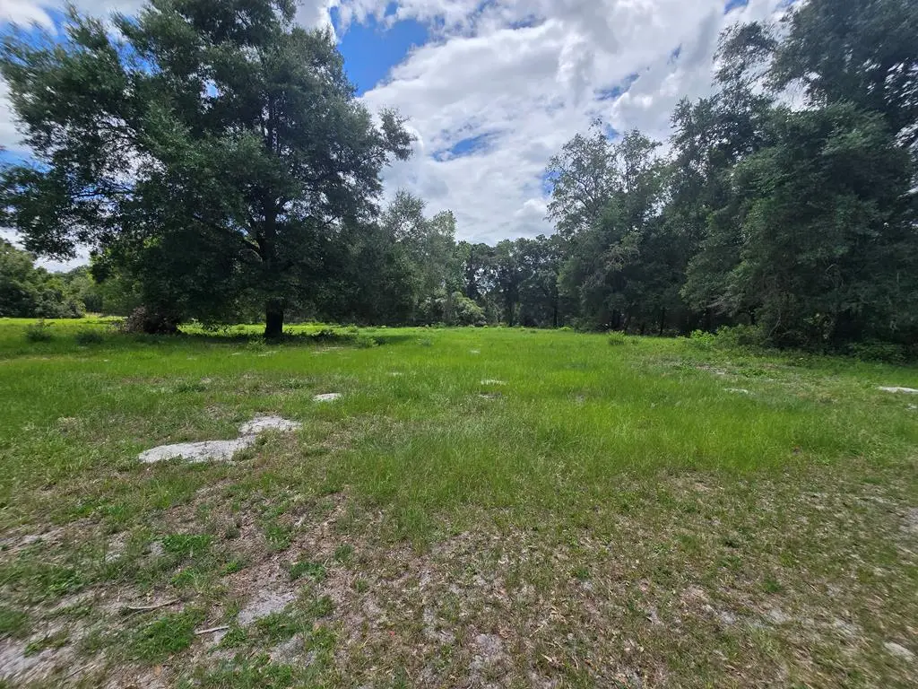 NW 128th Ln, Chiefland, FL 32626 - #1