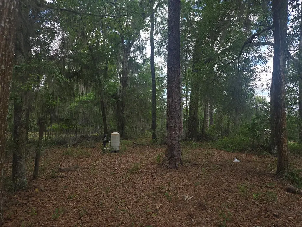 6090 NE 87th Ter, Bronson, FL 32621 - #1