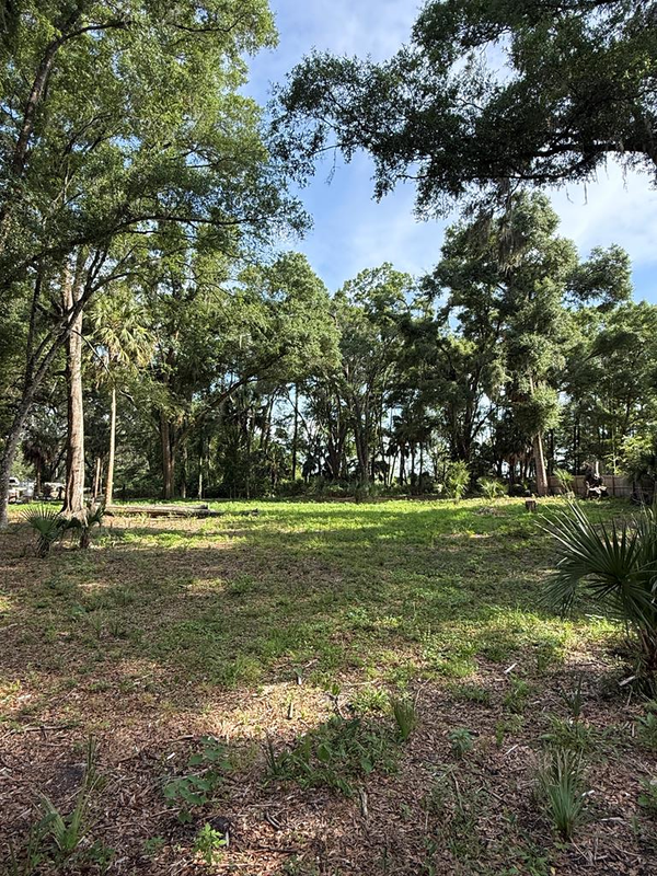 25555 SE Hwy 19, Old Town, FL 32680