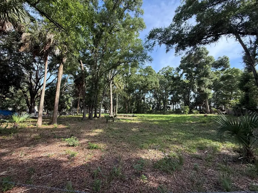 25555 SE Hwy 19, Old Town, FL 32680 - #2