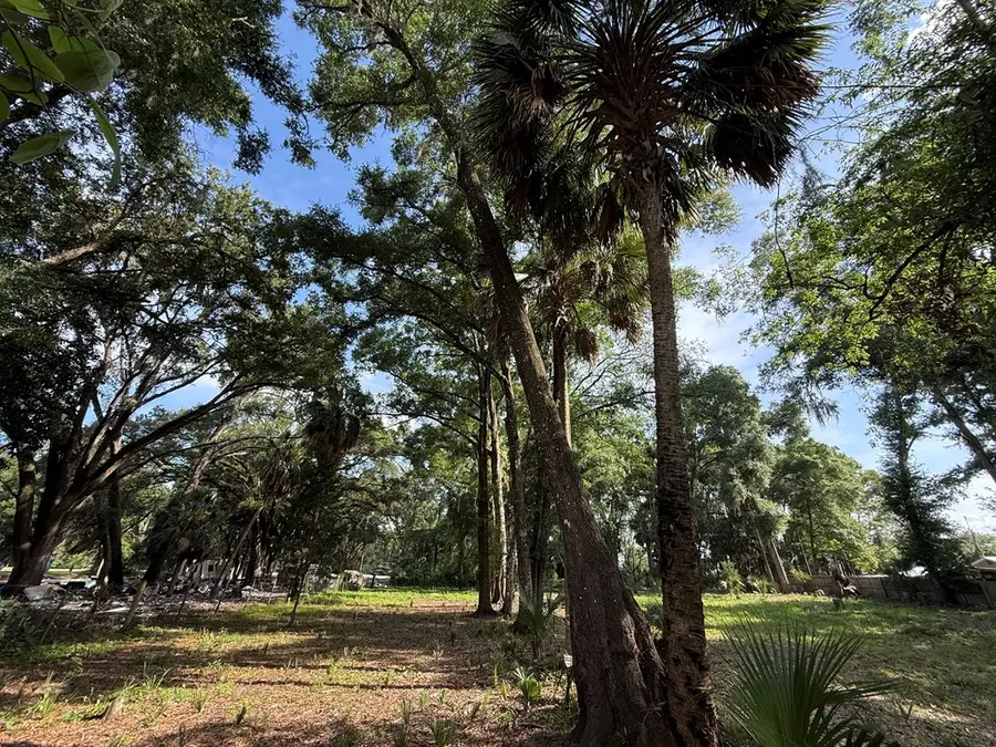 25555 SE Hwy 19, Old Town, FL 32680 - #3