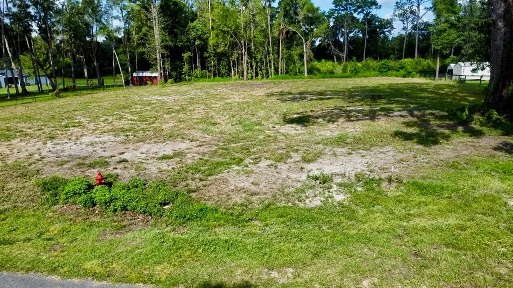 TBD SW 9th St, Williston, FL 32696 - #1