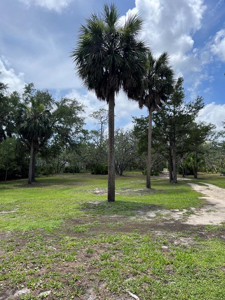1210 NE Hwy 51, Steinhatchee, FL 32359 - #2