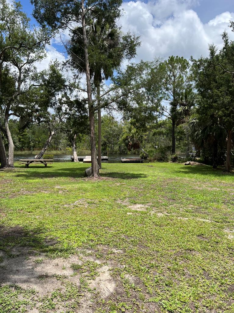 1210 NE Hwy 51, Steinhatchee, FL 32359 - #3