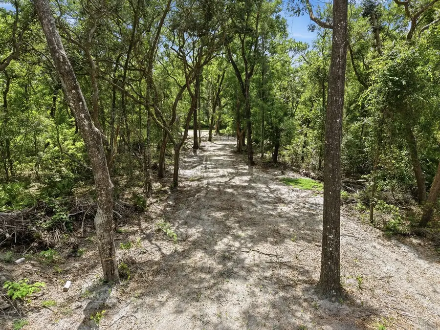 Lot 4 NW 78th Ave, Chiefland, FL 32626 - #3