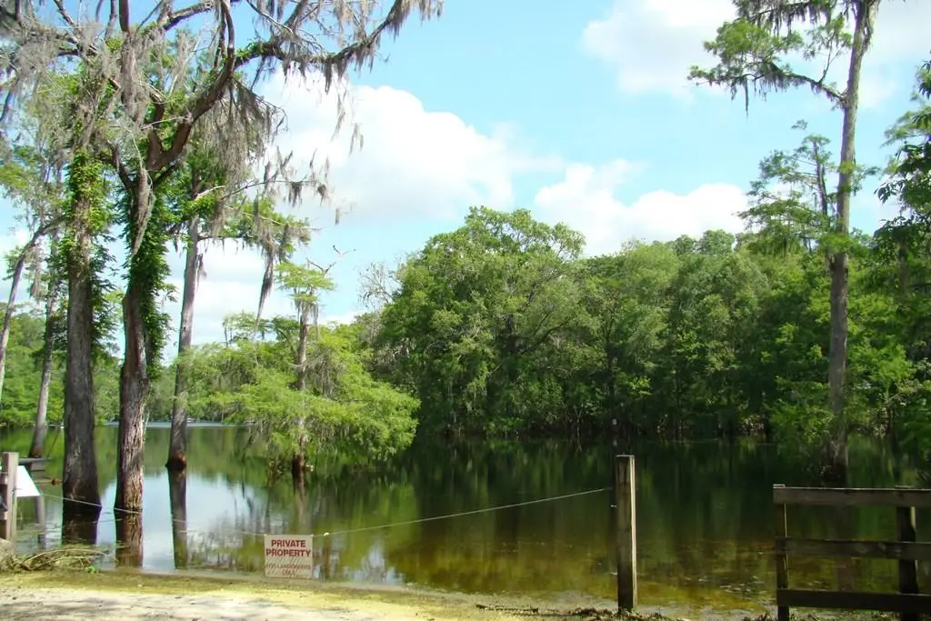 Lot 22 NE 127th St, Branford, FL 32008 - #1