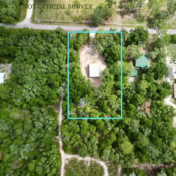 288 NE 453rd Ave, Old Town, FL 32680