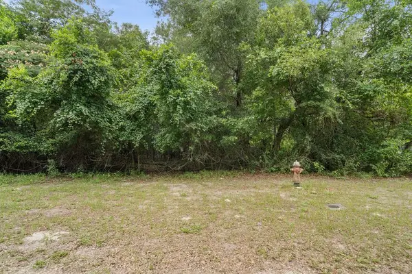 NW 183rd Rd, High Springs, FL 32643