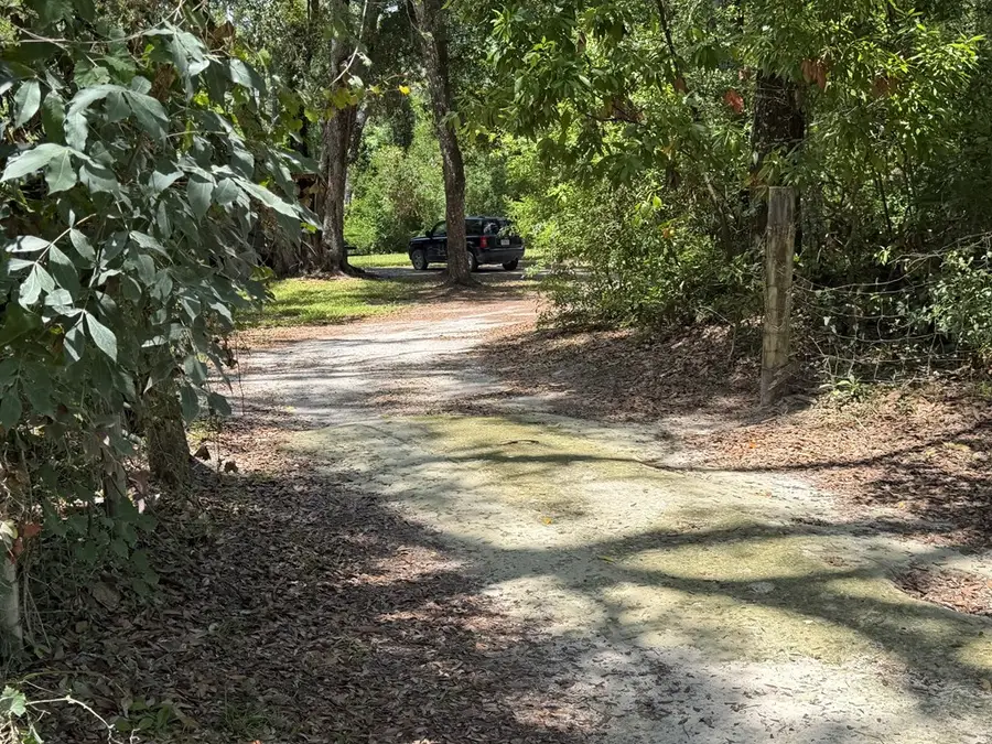 391 NE 349th Ave, Old Town, FL 32680 - #3