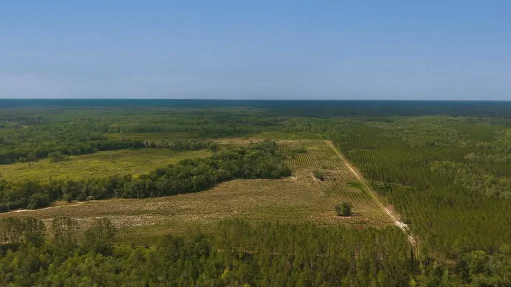 NE 246th St, Old Town, FL 32680 - #1