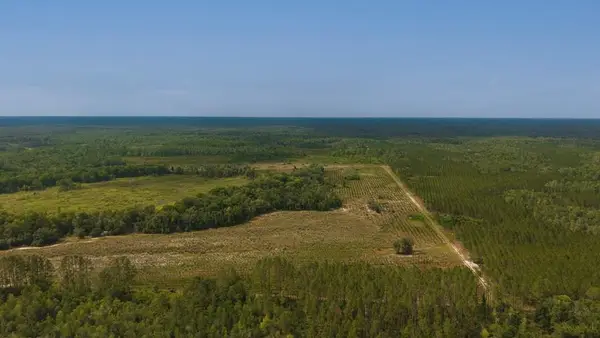 NE 246th St, Old Town, FL 32680