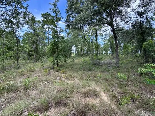 TBD SE 16th Ln, Morriston, FL 32668 - #1
