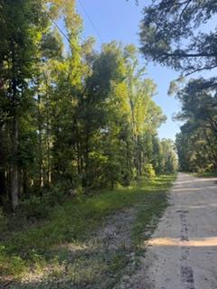 0000 NE 667th St, Old Town, FL 32680 - #1