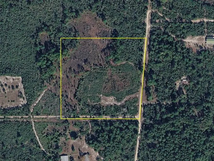 SW 132nd Ter, Cedar Key, FL 32625 - #2