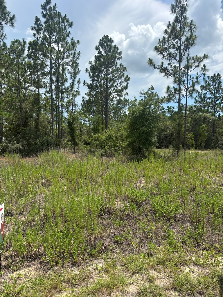 SW Surf Blvd, Dunnellon, FL 34431 - #2