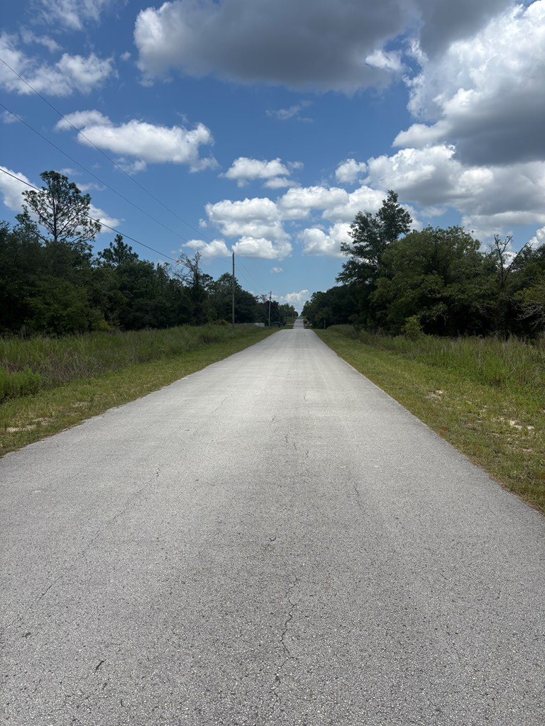 SW Surf Blvd, Dunnellon, FL 34431 - #3