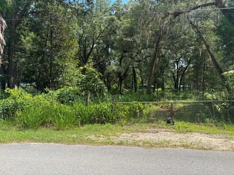 00 NW 166th St, Trenton, FL 32693 - #2