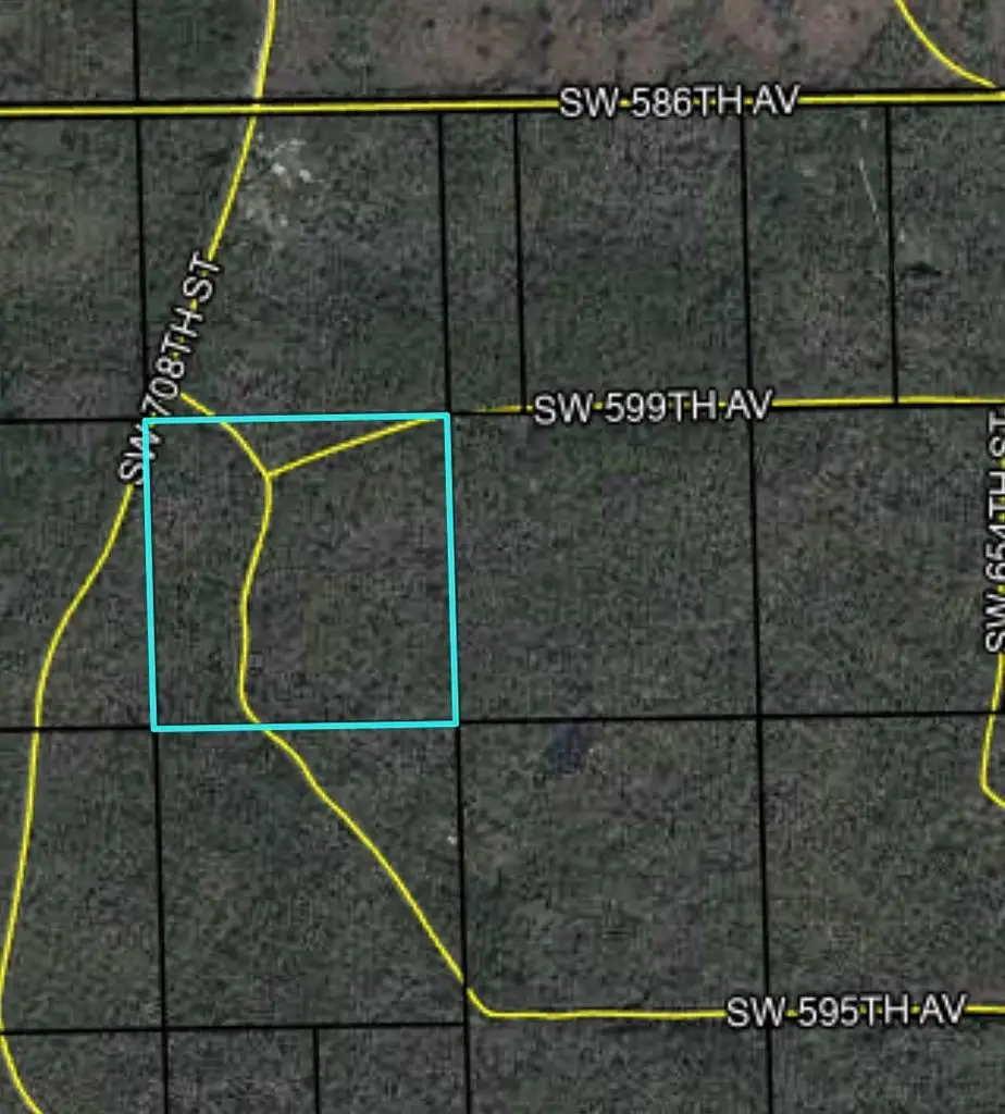 SW 595th Ave, Horseshoe Beach, FL 32648 - #1
