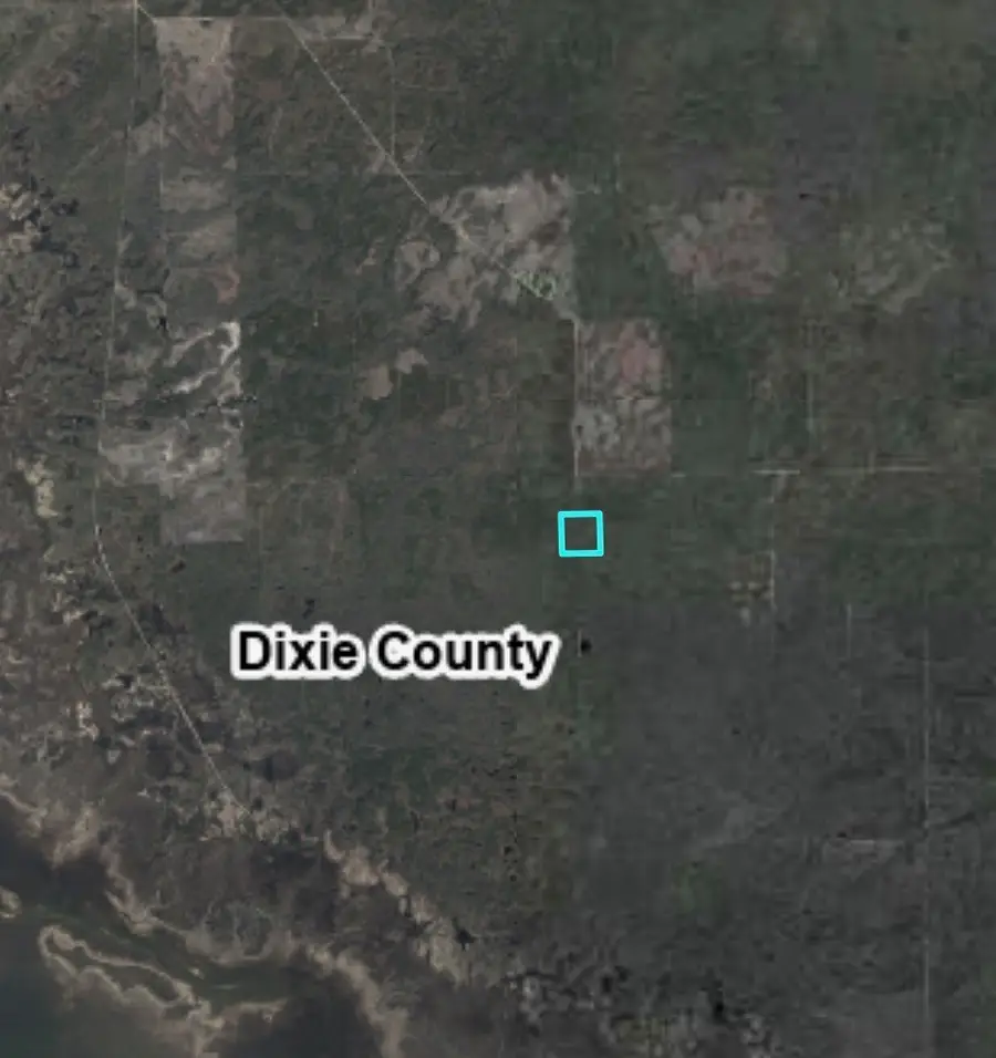 SW 595th Ave, Horseshoe Beach, FL 32648 - #2