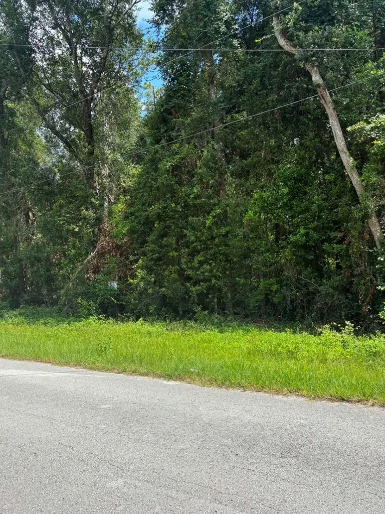 0000 NW 166th St, Trenton, FL 32693 - #3
