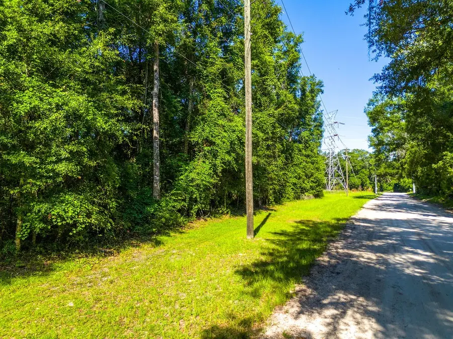 00 SW Unassigned, Fort White, FL 32038 - #2