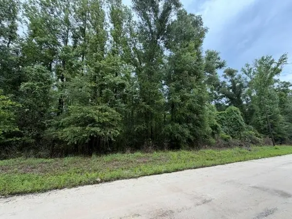 NE 312th Ave, Old Town, FL 32008